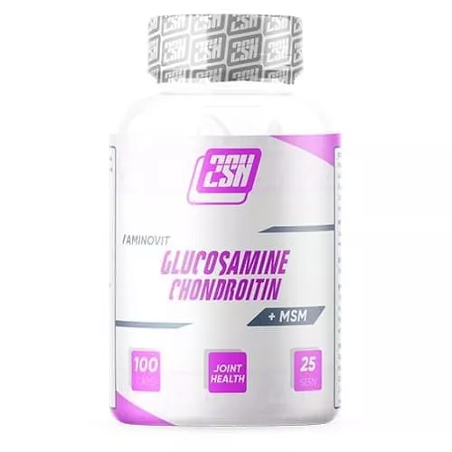 2SN Glucosamine + Chondroitin + MSM 600 mg 100 caps