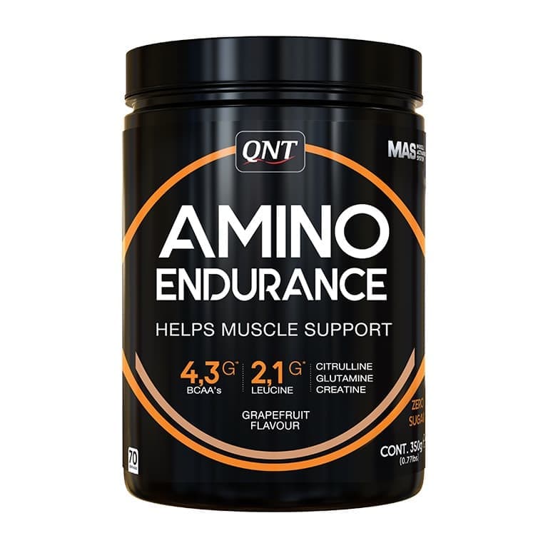 QNT Amino Endurance 350g